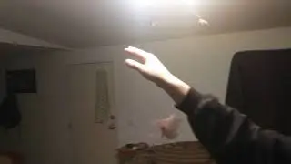 The biggest moth I've ever seen
