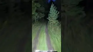 10 сентября 2023 г.