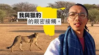 《納米比亞·非洲自駕 ep2》我跟獵豹的親密接觸！