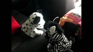Stop Motion