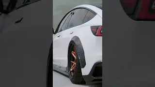 Tesla car status
