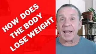 How Does Weight Loss Work - Understanding How Our Body Losses Weight and How To Keep It Of