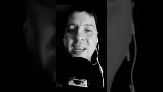 Жираф.  Гумелёв.