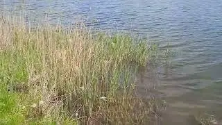 Ква... ква)))) на санскрите Ва( ваю) энергия жизни!