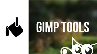 GIMP | Bucket Fill Tool