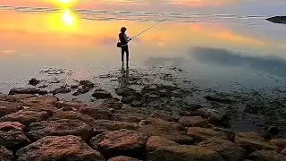 The Poetry of Light.