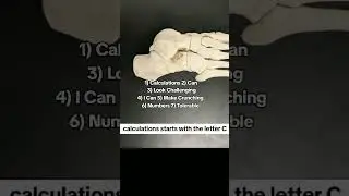 Learn the bone anatomy of the foot: Part 1
