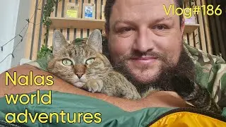 Vlog