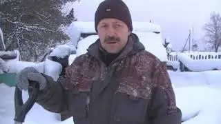 Шишига в снегу