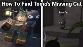 How To FInd Tomo's Missing Cat For 