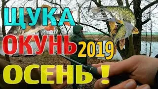 ЩУКА И ОКУНЬ ОСЕНЬЮ РЫБАЛКА ОСЕНЬ 2019!