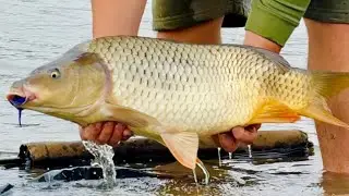 Overnight carp fishing. Carp fishing in September with a subscriber! Carp and grass carp fishing ...