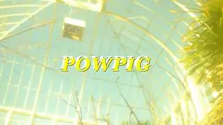 PowPig: Birds Of Paradise