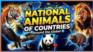 Nation Animal of Differnt Countries in the 🌎 😱