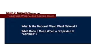 What is the National Clean Plant Network & What Does it Mean When a Grapevine is 