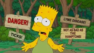 Simpsons 32x05 - Remove a lot of Ticks From a Bart