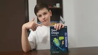 Вырастим вместе динозавров Sea Dogs?!
