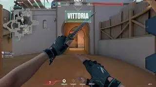 predator coach