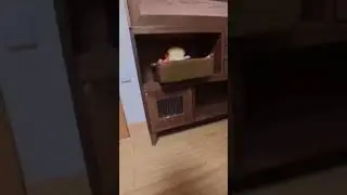 what's going on here ???