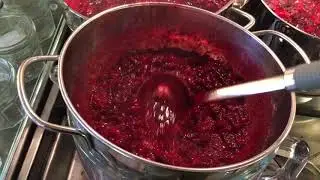 Damson Jam in Less than Five Minutes