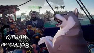 bought pets and sunk a gallander in Sea of ​​Thieves