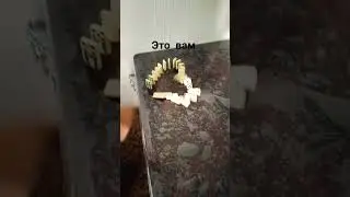 я вас❤