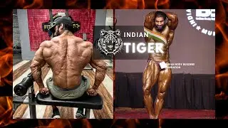 Indian Tiger – Nitin Chandila | OFM