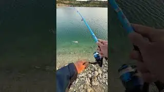 The cheapest fishing set ago! 