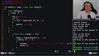 Coding cat in C from Scratch