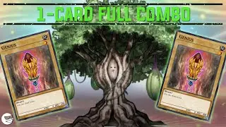 World Qualifying Deck! Rikka Sunavalon Deck Profile August 2023