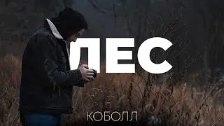Поговорим про лес | Коболл