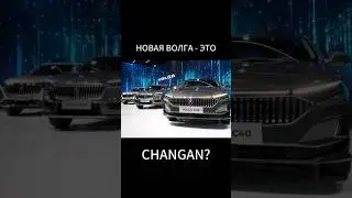 Новая 