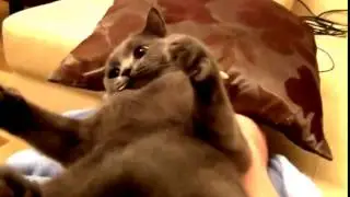 Шок! Слабонервным не смотреть!!!