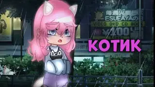 ∘ котик ∘ | Koshka Lana  and Yoshimura | идея не моя | ♡Kohs♡