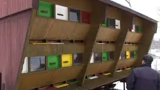 Павильоны чешских пчеловодов.