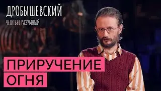 Зачем людям был нужен огонь? // Дробышевский. Человек разумный