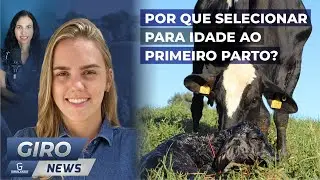 Por que selecionar para idade ao primeiro parto? - Gironews #42