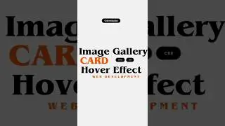 Image Gallery Card Hover Effect ||