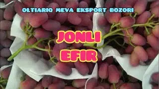 SHUHRATJON AGRO UZ  efirda!