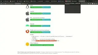 How to Set Up Astra Proxy Integration for Traffic Capture from Postman, Burp, Firefox & cURL