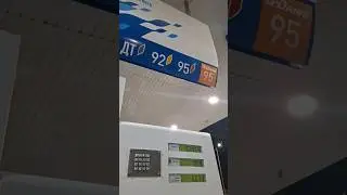 29 августа 2024 г.