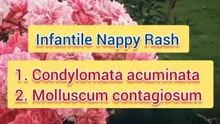 Infant Nappy Rash -  Condylomata acuminata & Molluscum contagiosum