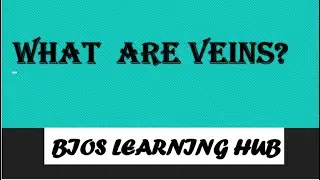 What  are veins?