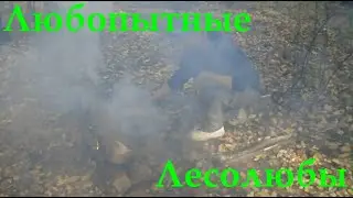 Отжигаем в лесу. Костёр Нодья и Дакота (костёр разведчика). Инструкция по разведению и применению.