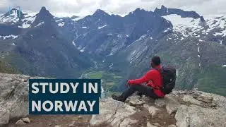 BI Norwegian Business School - Student Perspective, Jarrod