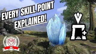 ESO Complete Skill Point Guide For 2025!