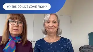 Where Do Lice Come From? | LiceDoctors