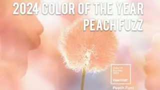 2024 Pantone Color of the Year: Peach Fuzz 🍑