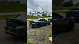 Cammed 5.7 hemi cold start!! *Maximizer stage 2.5* #chargerrt #mopar #fyp #dodgecharger #hemi i