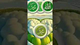Holy Quran Translation #holy #holyquran #quran #qurantranslation #quran #quranrecitation#quran#viral